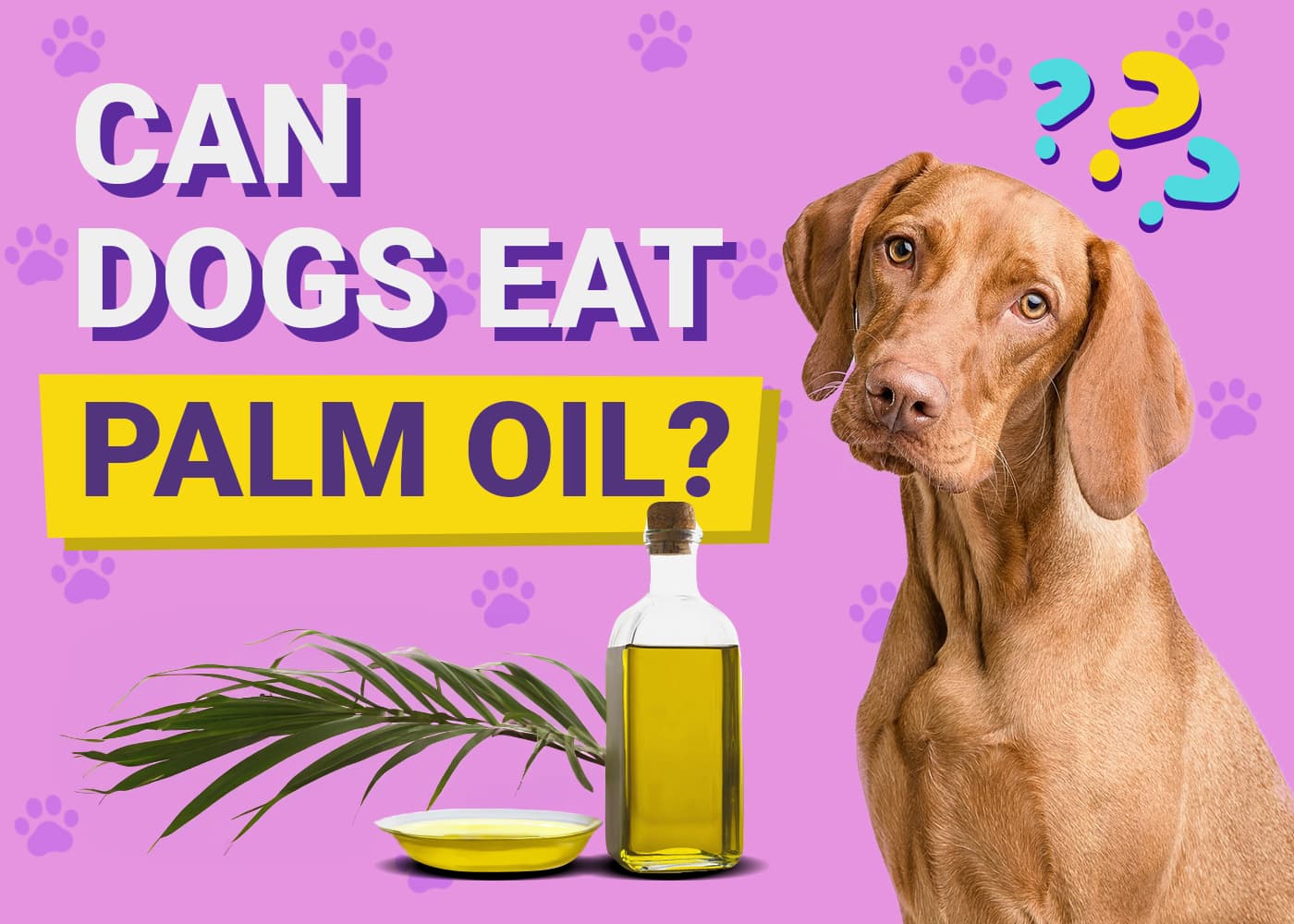 Can Dogs Eat Palm Oil