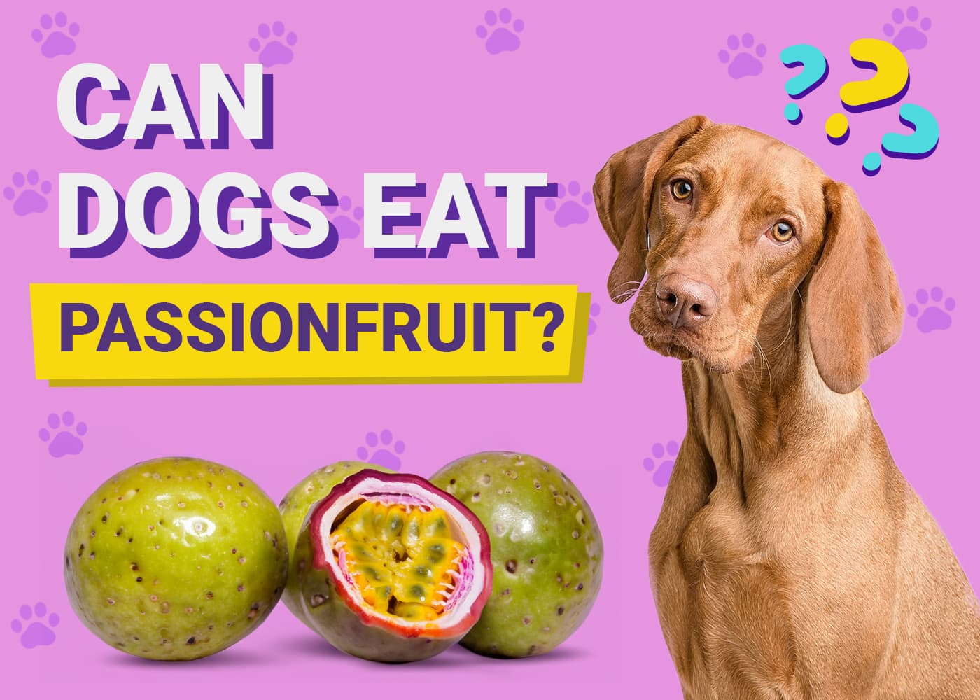 Can Dogs Eat Passionfruit