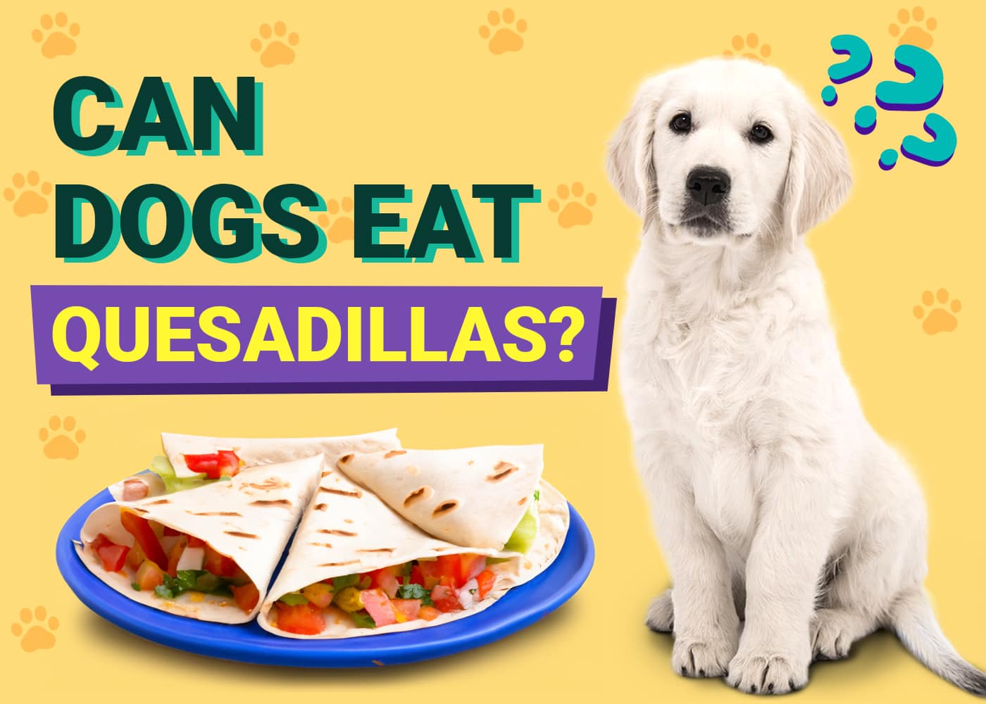Can Dogs Eat Quesadillas