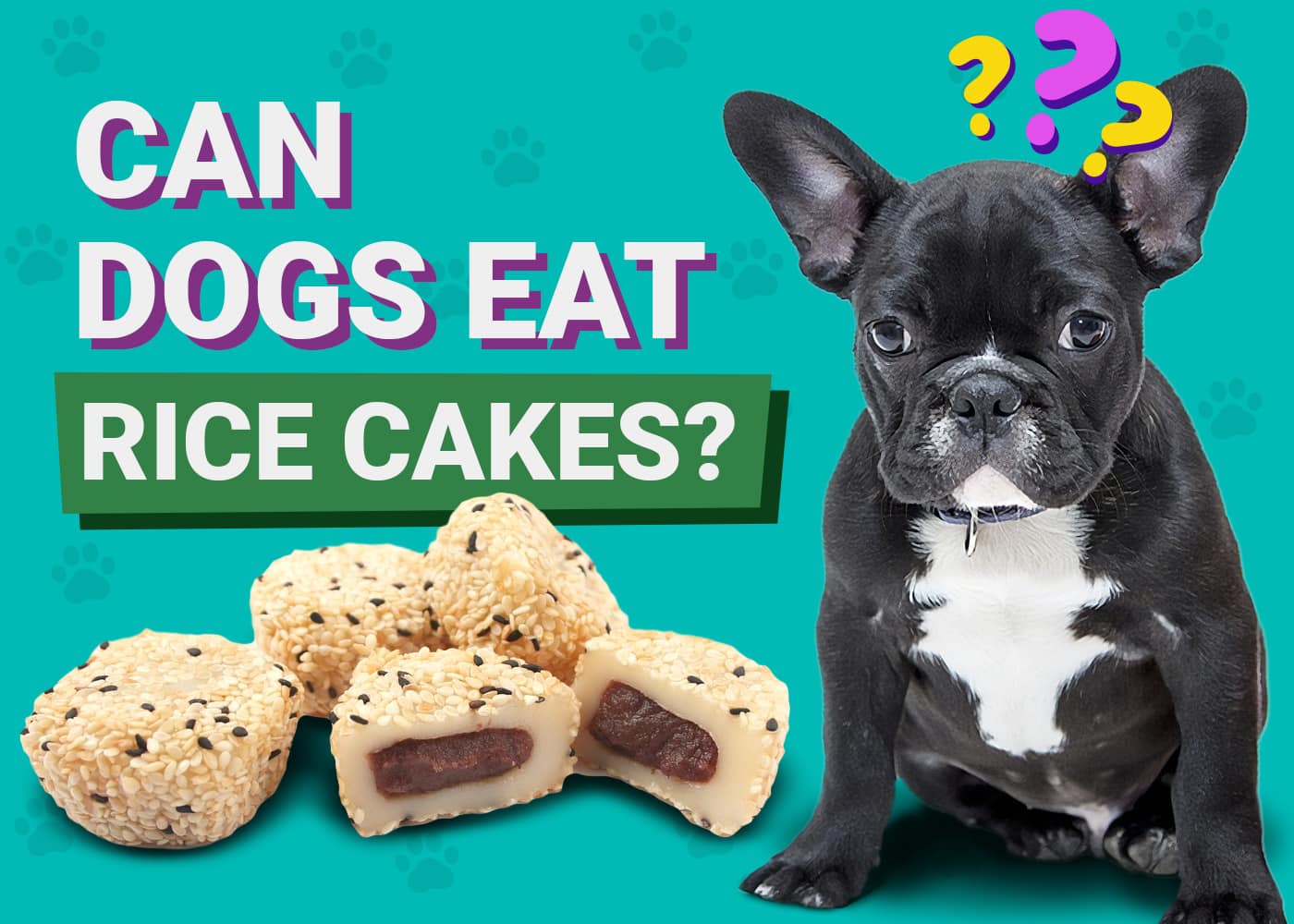 Can Dogs Eat Rice Cakes
