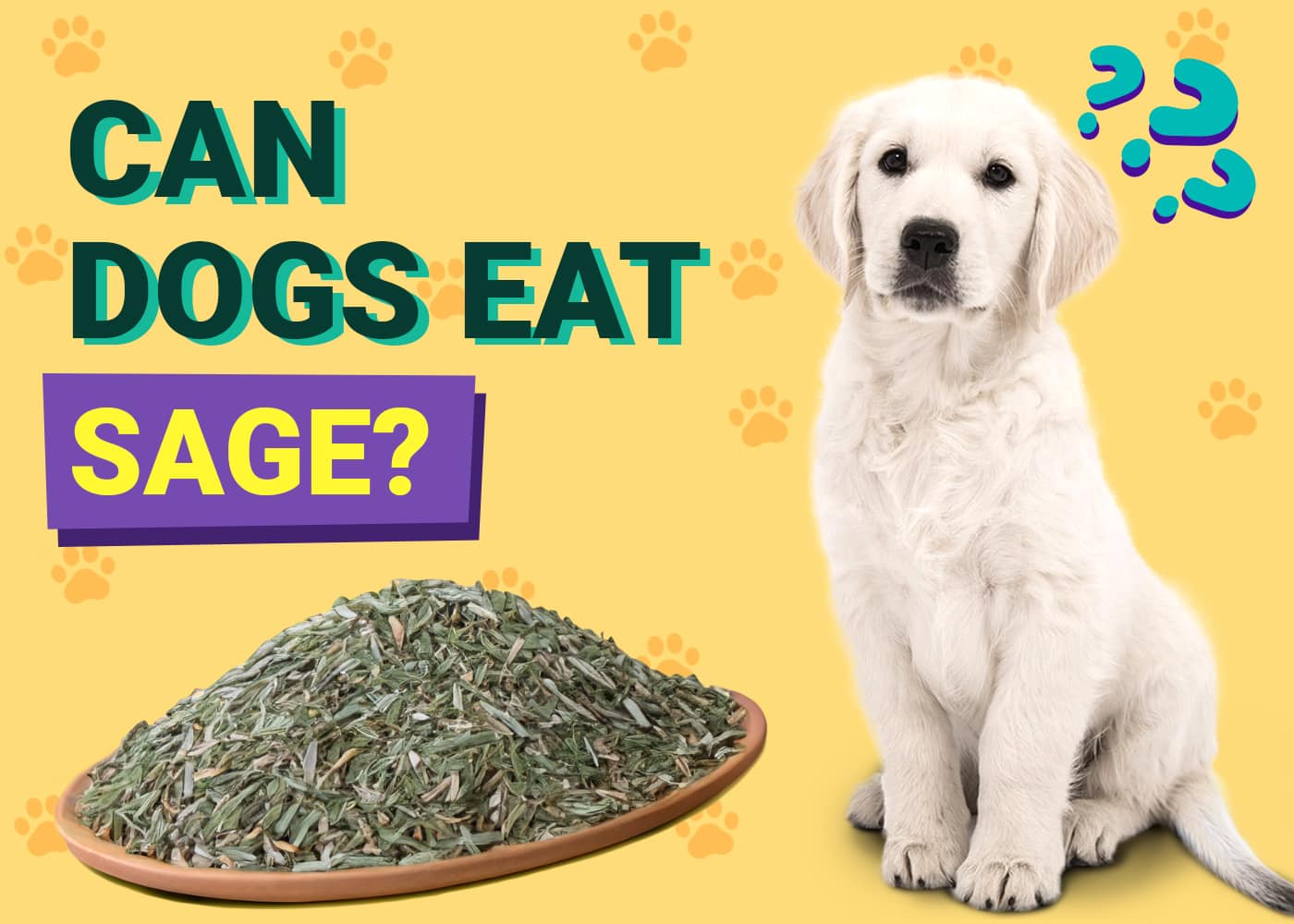 Can Dogs Eat Sage