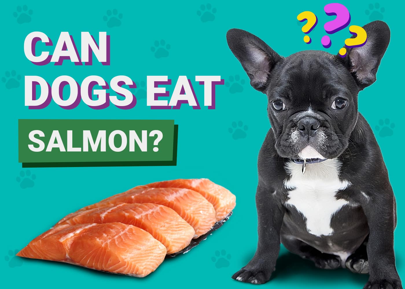Can Dogs Eat Salmon