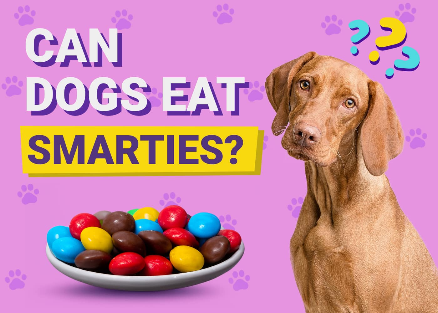 Can Dogs Eat Smarties