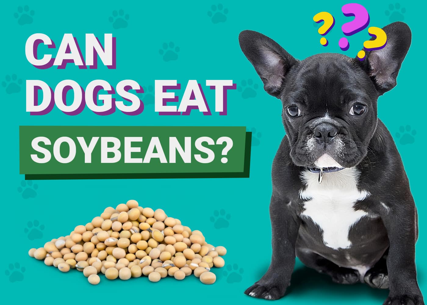 Can Dogs Eat Soybeans