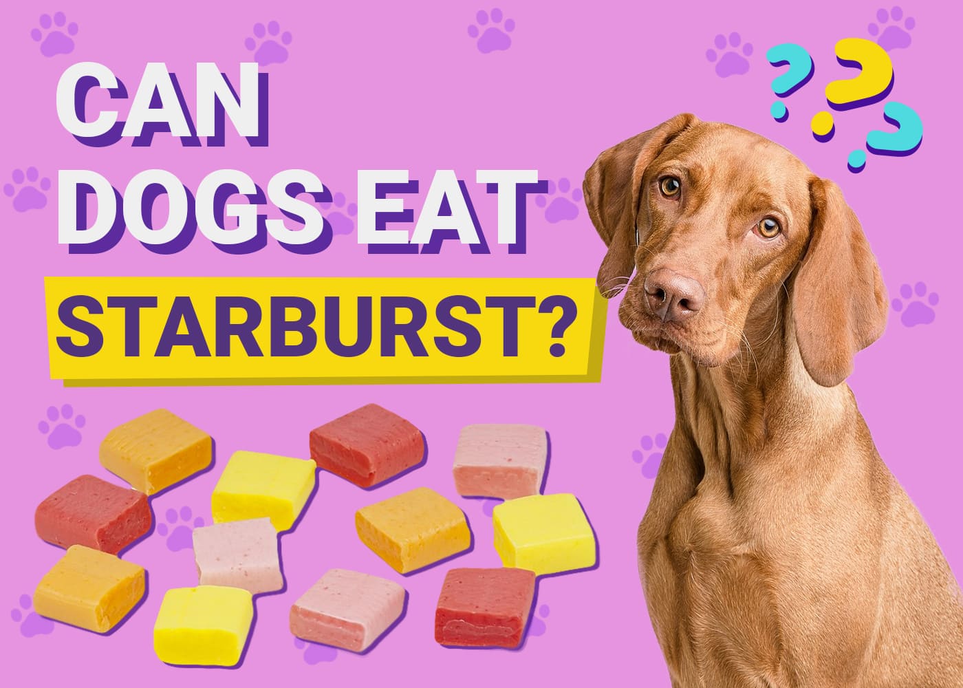 Can Dogs Eat Starburst