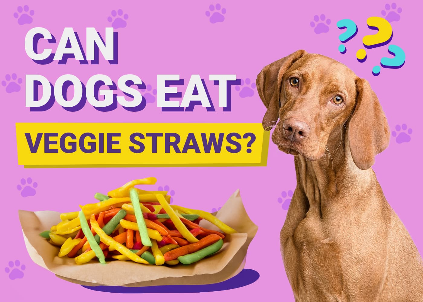 Can Dogs Eat Veggie Straws