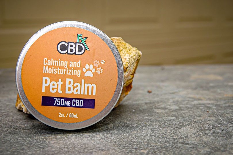cbdfx pet balm