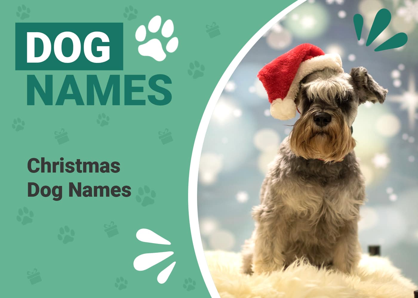 200+ Incredible and Festive Christmas Names for Dogs Dogster Christmas Names For Dogs