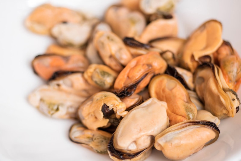 close up of mussels without shells