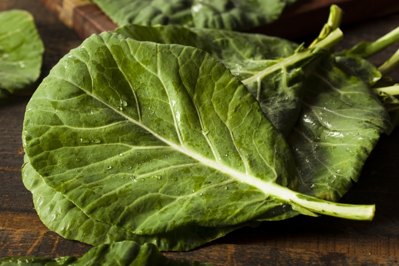 collard greens leaves