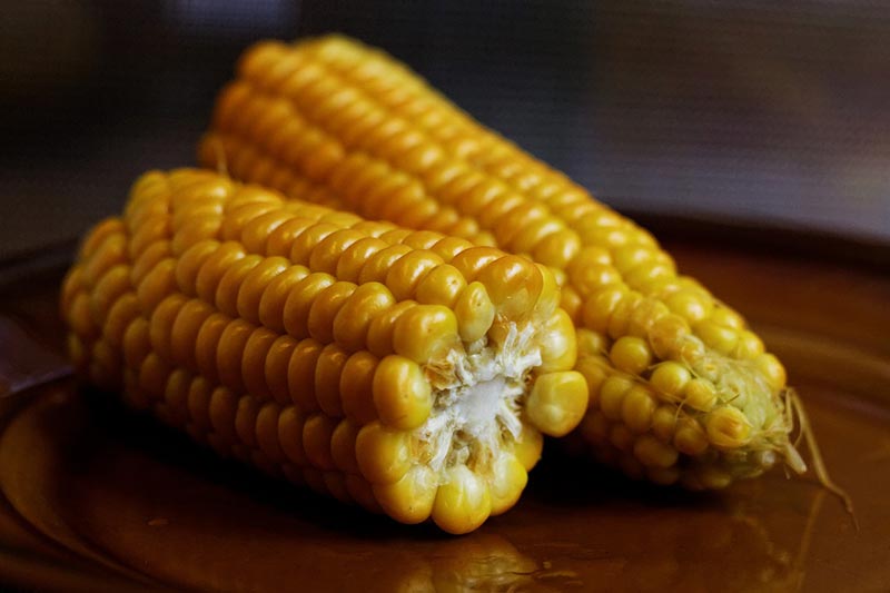 corn on the cob