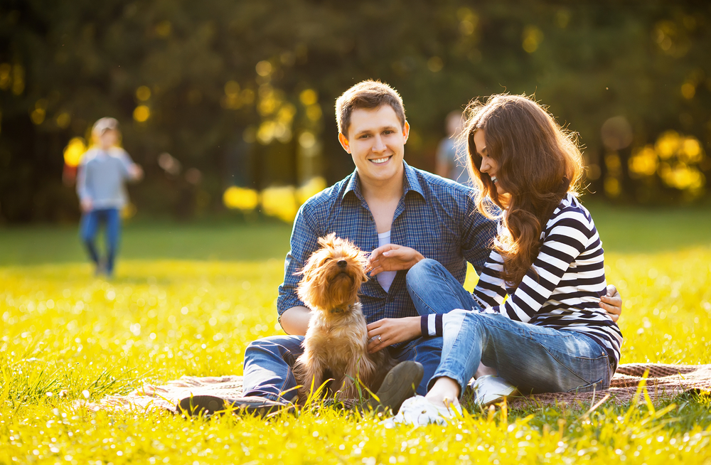 couple having a picnic with their dog