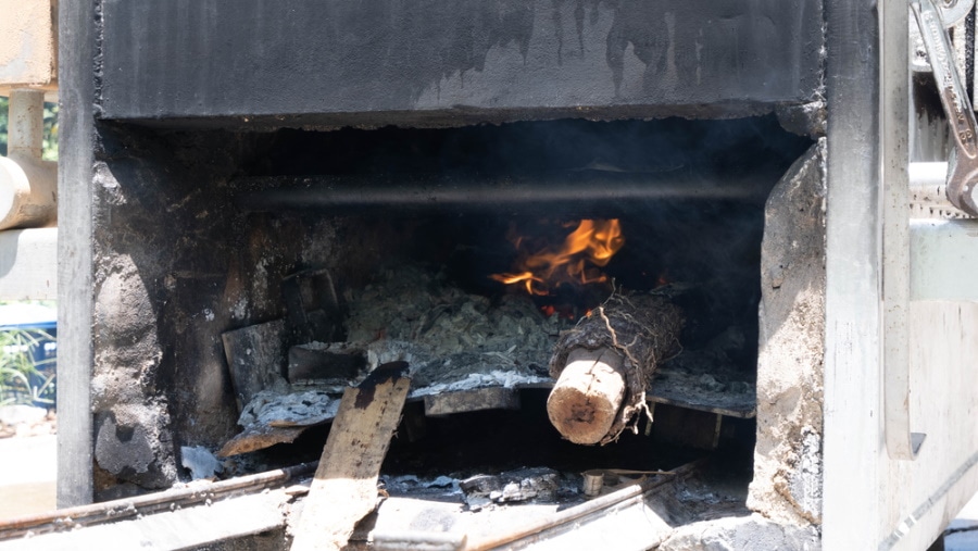 How Much Does It Cost To Cremate a Dog? 2024 Price Guide Dogster