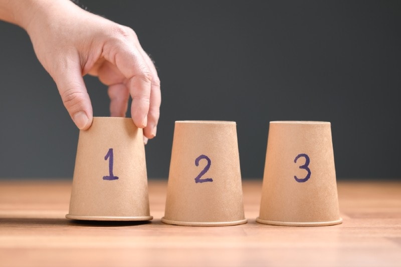 cup guessing game