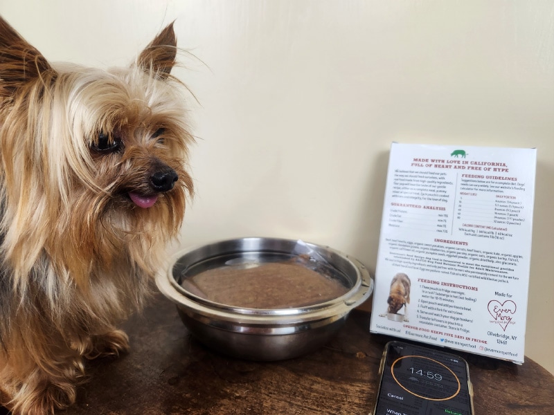 defrosting evermore dog food with leo