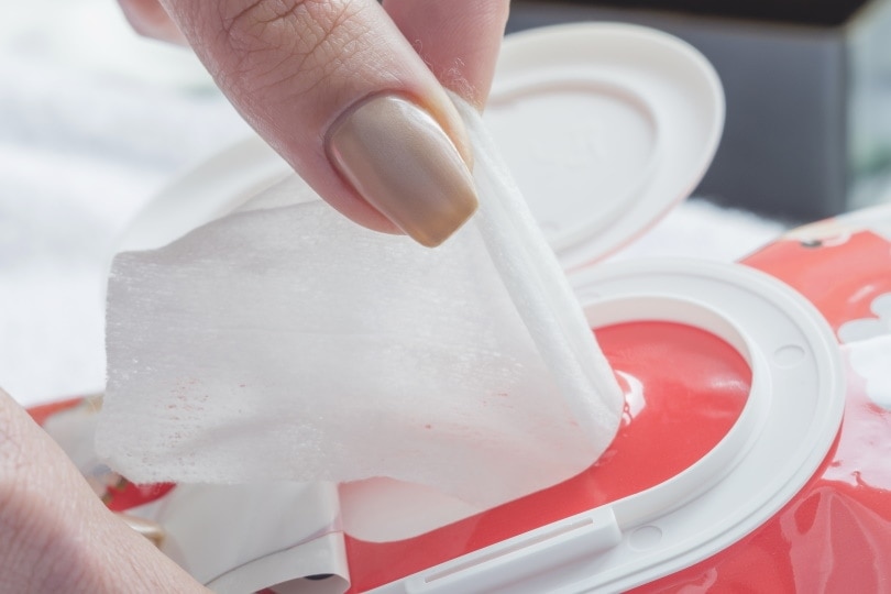disposable wipes