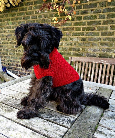 diy christmas jumper