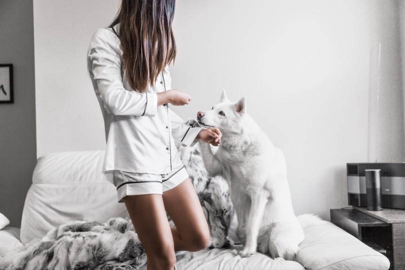 dog and owner sitting on couch