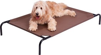 dog bed