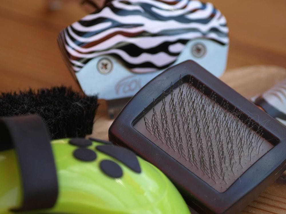 dog brush on a wooden surface