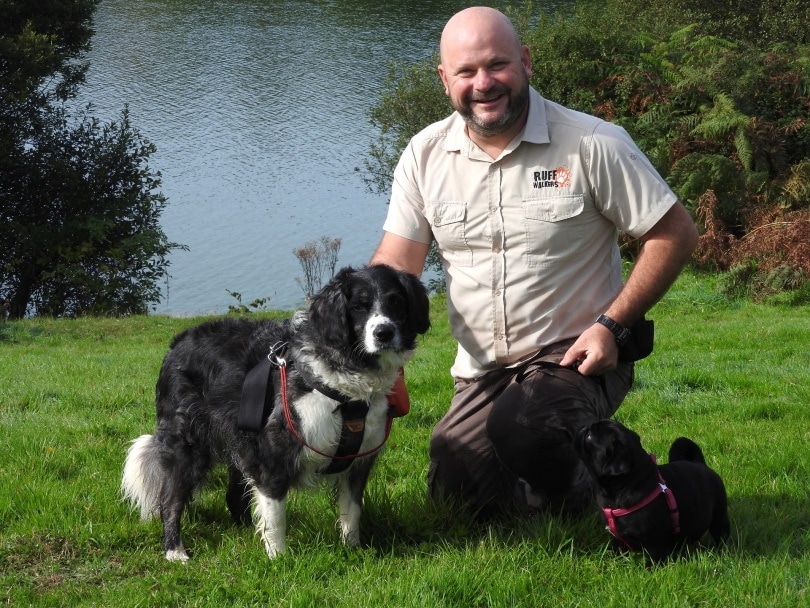 dog caretaker_roy3004_Pixabay