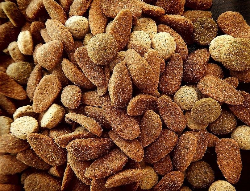 dog food-pixabay