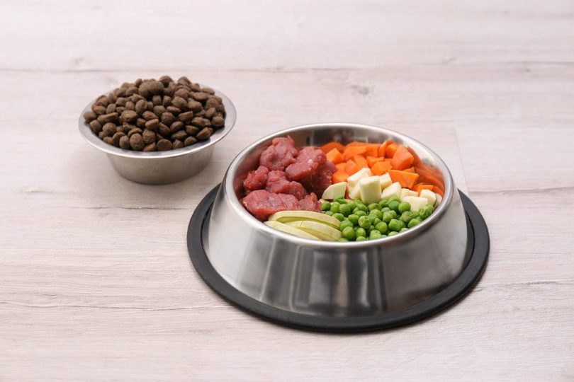 dog food_New-Africa, Shutterstock