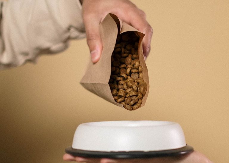 Is Dry Dog Food Bad for Dogs? VetReviewed Pros & Cons Dogster