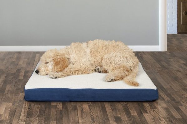 dog in bed_FurHaven, Chewy