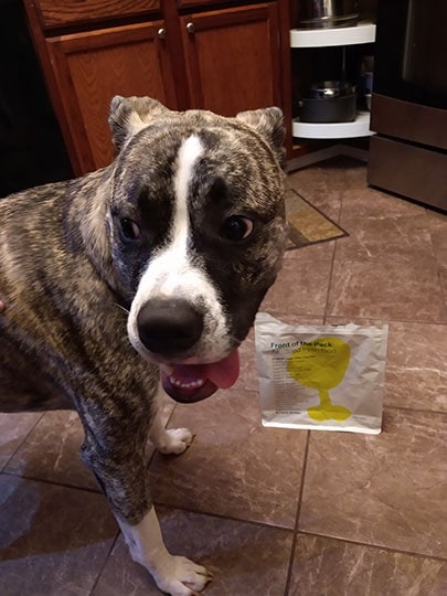 dog in front of the Front of the Pack dog food packaging