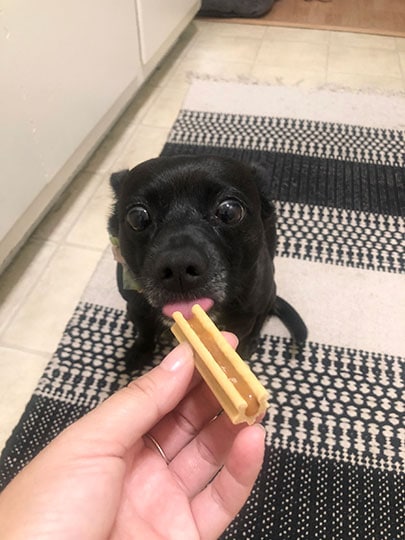 dog licking bark bright dental stick