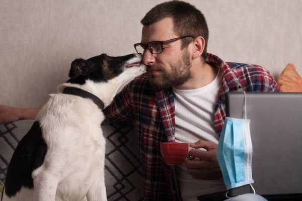 dog licks the owner’s face on the sofa