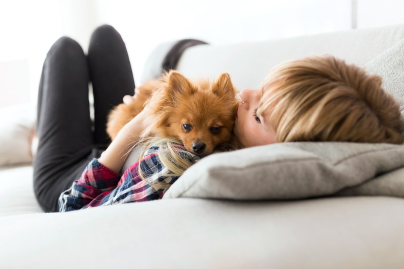 dog lying on owners stomach