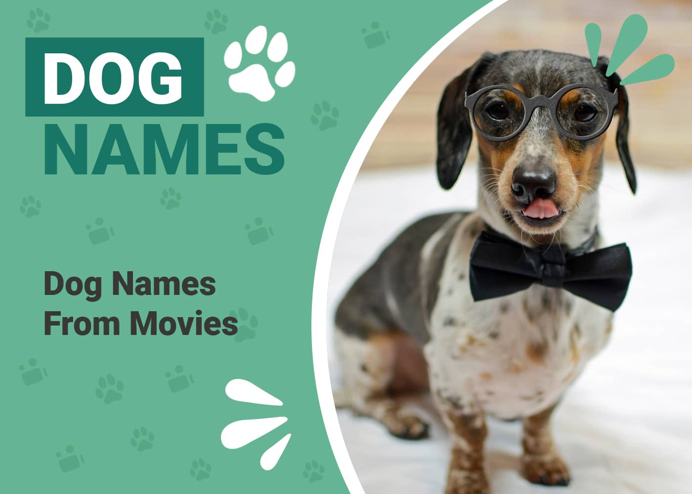 Dog Names From Movies