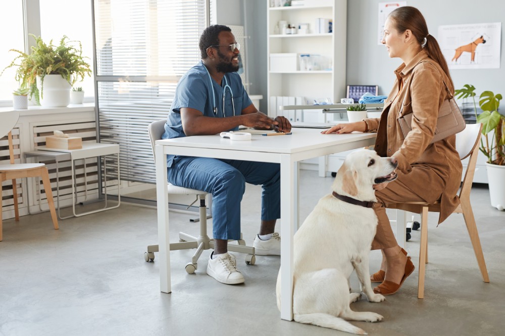 dog owner talking to vet