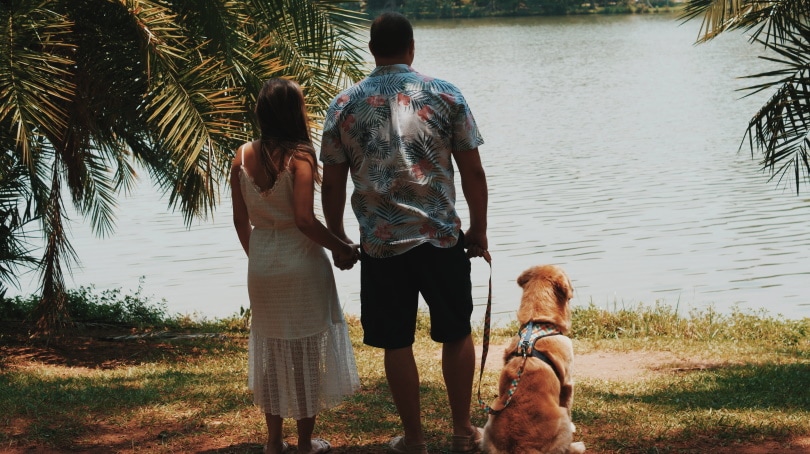 dog sitting beside couples