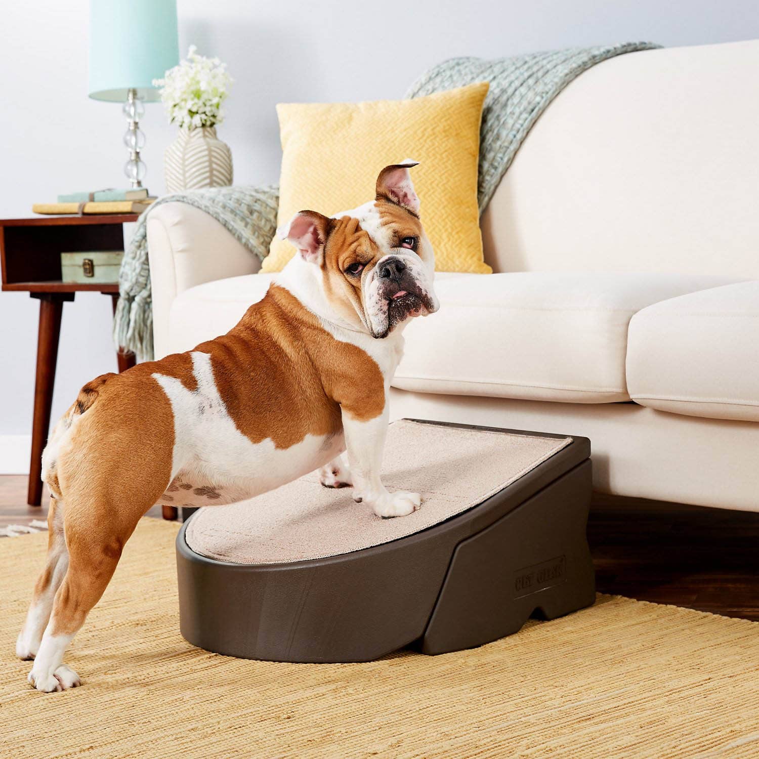 dog using Pet Gear Easy Step Cat & Dog Stairs
