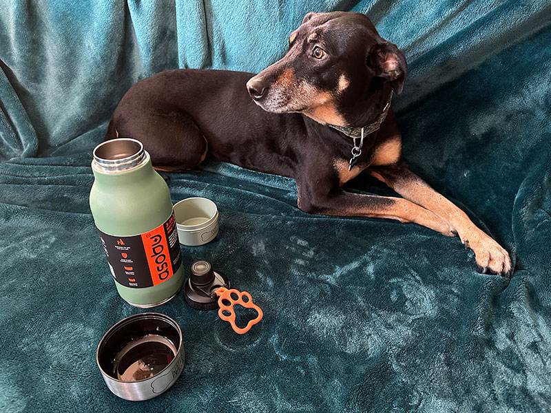 dog with asobu buddy bottle