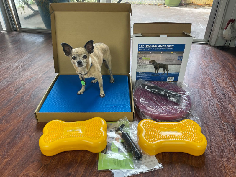 dog with fitpaws products