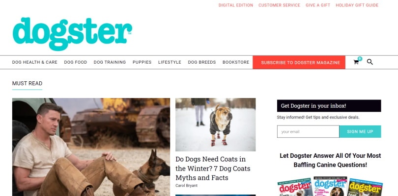 dogster