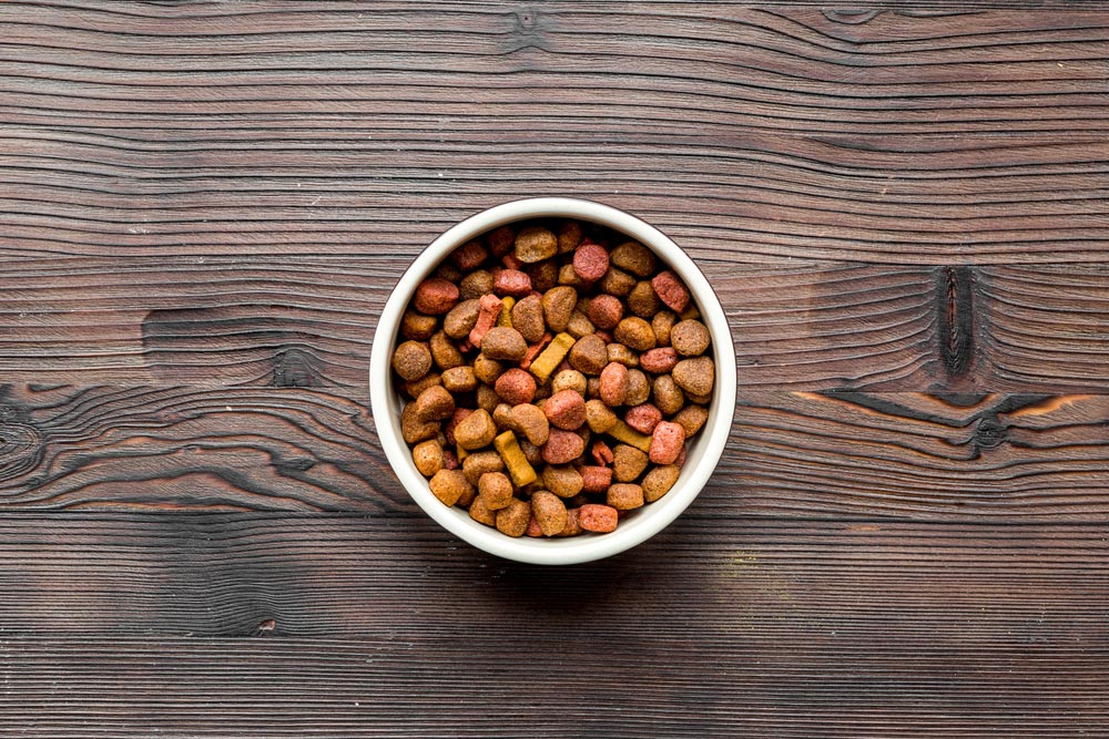 dry dog food in bowl