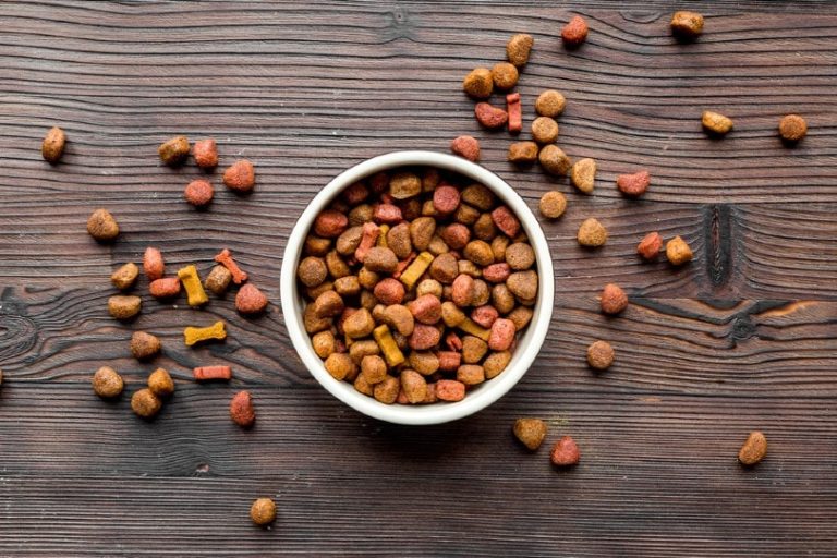 Is Glycerin in Dog Food & Treats Bad for Dogs? VetReviewed Safety