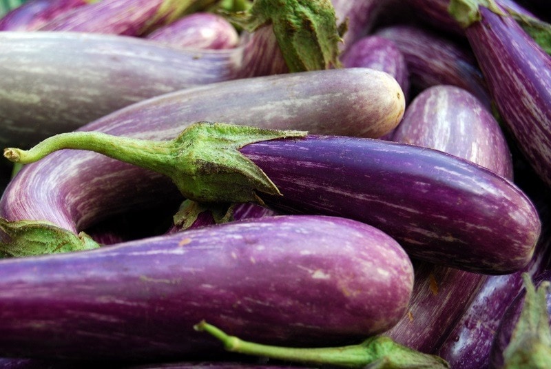 eggplant