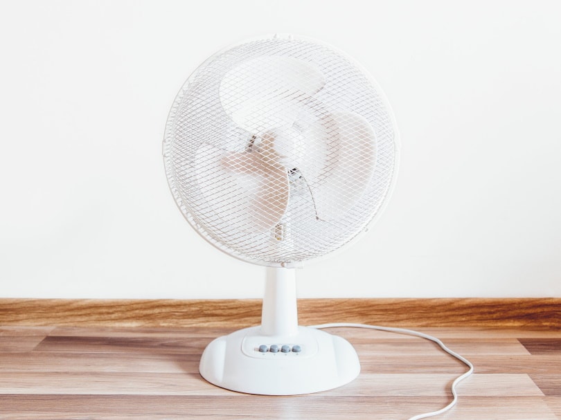electric fan