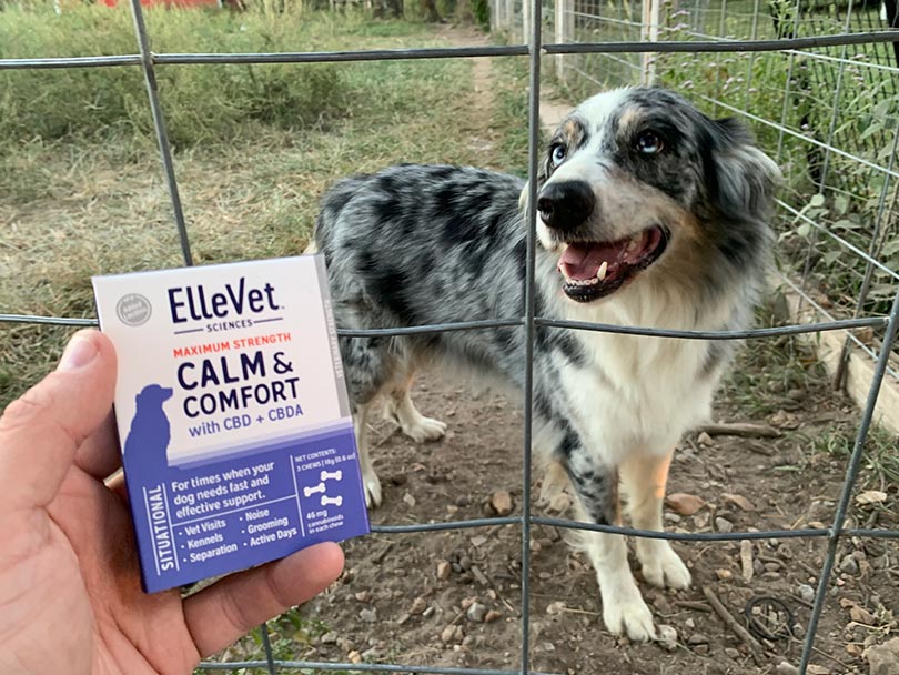 ellevet calm and comfort cbd product