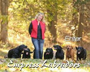 empress labrador logo