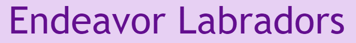 endeavor labs