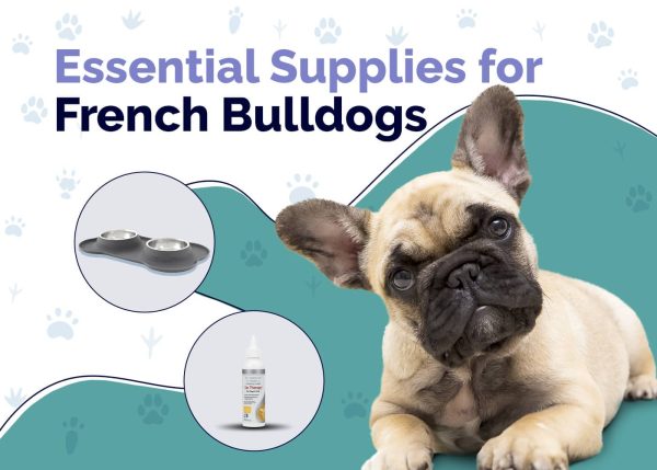 Essential Supplies For French Bulldog