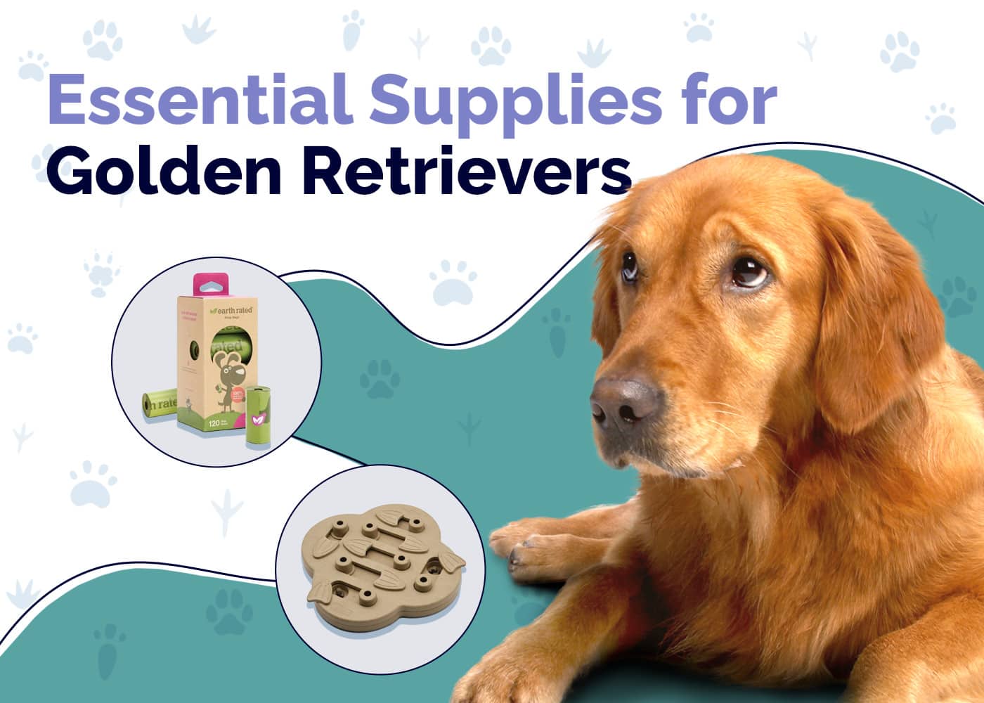 Essential Supplies For Golden Retrievers