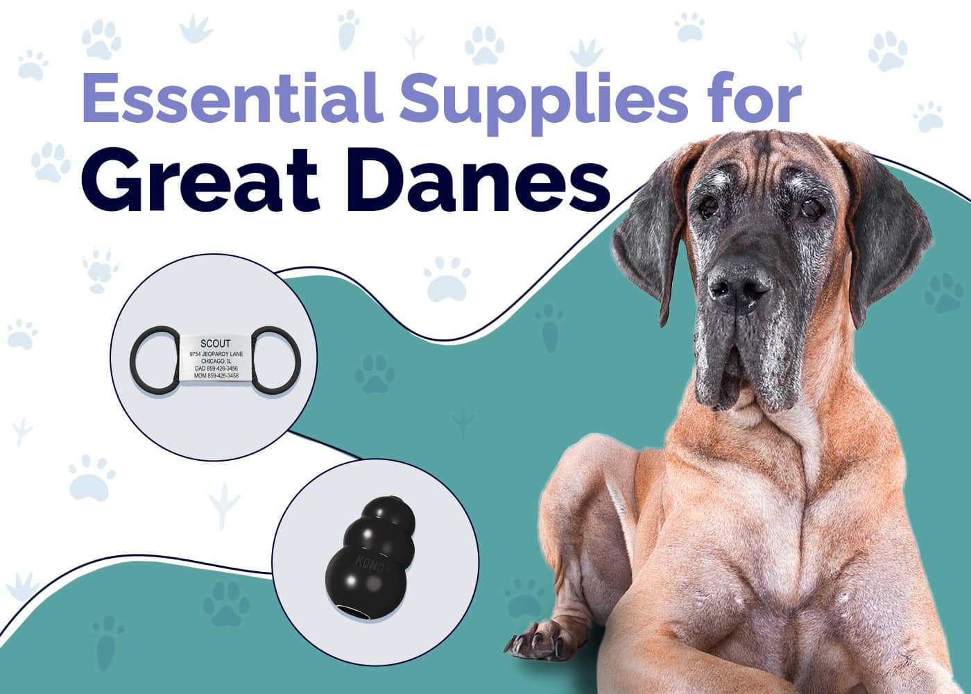 Essential Supplies For Great Danes